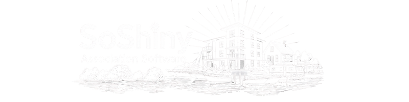 SoShiny